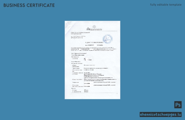 Beispielansicht einer bulgarischen Registrierungsbescheinigung